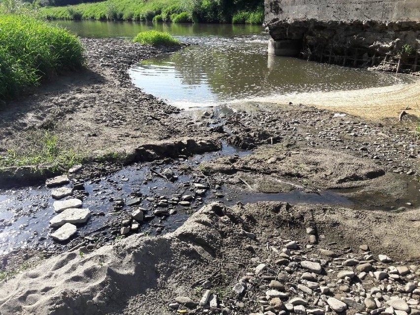 Susza, a ktoś w Libuszy wypuszcza ścieki wprost do rzeki. Efekt? Potworny smród z daleka. Sprawą ma zająć się nadzór budowlany