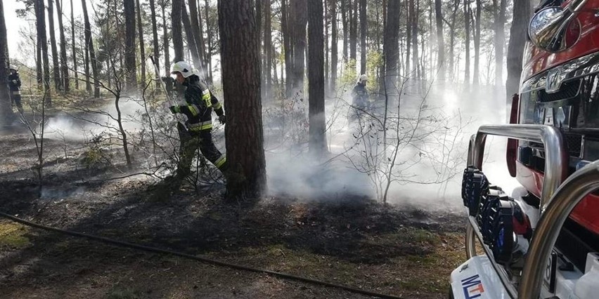 W czwartkowe popołudnie doszło do kolejnego pożaru w...