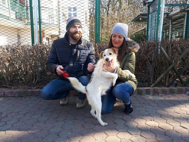 W naszej galerii zebraliśmy osoby, które w ostatnim miesiącu przygarnęły zwierzaki z toruńskiego schroniska. Zobaczcie szczęśliwe psiaki i ich nowych opiekunów! Wszystkie te zwierzęta dostały od losu szansę na nowy dom. >>>>>> Toruńskie schronisko dla zwierząt. Jak zaadoptować psa? Aby zaadoptować psa czy kota możemy udać się między godz. 12 a 16 do schroniska. Możemy poznać zwierzęta, odbyć spacer z psem, czy pobawić się z kotem. Jeśli zaś nie możemy sobie pozwolić na przygarnięcie zwierzaka do domu, możemy zaadoptować go wirtualnie i wspierać finansowo, czy zapisać się na kurs dla spacerowiczów i wyprowadzać psy ze schroniska na spacery.Polecamy: Oto najlepsze porodówki w Kujawsko-Pomorskiem! [RAPORT]Większość zwierząt przebywających w schronisku jest doświadczona przez życie. Pracownicy i wolontariusze schroniska robią bardzo dużo, aby często zaniedbane i chore zwierzęta wyleczyć i postawić na nogi. Jednak zwierzęta do pełni szczęścia potrzebują kochających i oddanych opiekunów, którzy zapewnią im dom i miłość.Zobacz także: Tak wyglądają cele w toruńskim areszcie. Zobacz zdjęciaObejrzyj: Marina Abramović w CSW