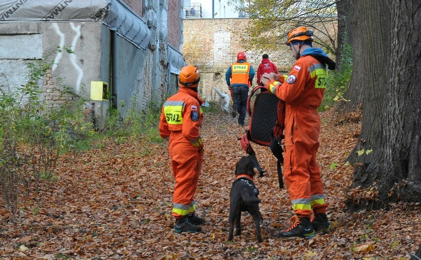 Szczecin: Zawalił się dach w dawnej przychodni przy Słowackiego [zdjęcia]