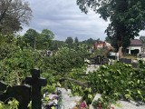 Nagrobki na cmentarzu w Złotym Potoku zniszczone przez powalone drzewa ZDJĘCIA