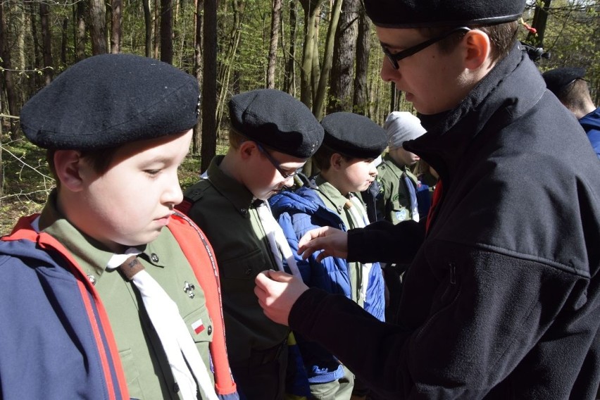 Działacze .Nowoczesnej posadzili jodły w Kielcach