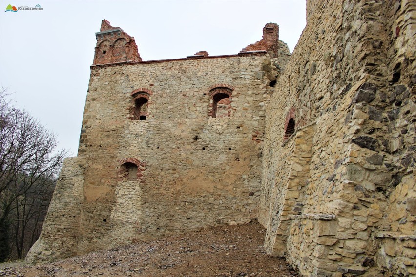 Tegoroczne prace zabezpieczające fragmenty ruin zamku...