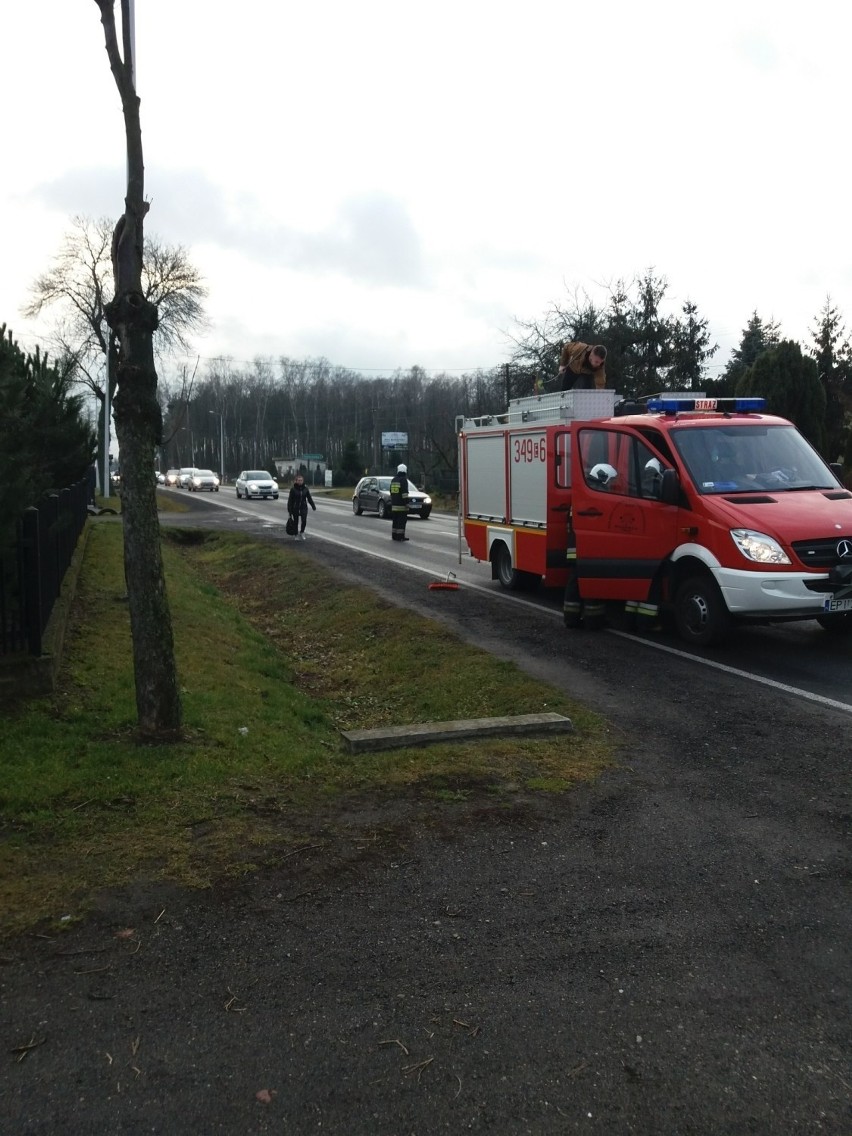 Wypadek na drodze krajowej koło Piotrkowa Trybunalskiego. Zderzenie dwóch samochodów FOTO