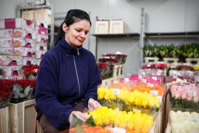 W poprzedniej perspektywie z dotacji na rozpoczęcie działalności gospodarczej skorzystało 15 tys.  osób, otrzymało  je  ponad 750  firm jak m.in. ta na zdjęciu kwiaciarnia przy ul. Polnej w Toruniu
