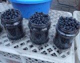 W czwartek 29 czerwca na radomskim targowisku Korej można było już kupić pierwsze jagody. Znamy ceny