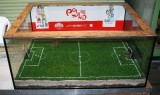 Mrówki grają w piłkę! EURO 2012 w łódzkim zoo 