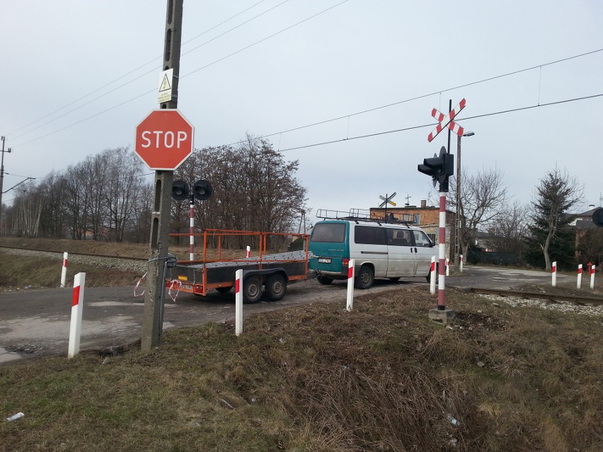 Dlaczego trzeba było wyciąć kilkadziesiąt kasztanowców wzdłuż toru PKP?