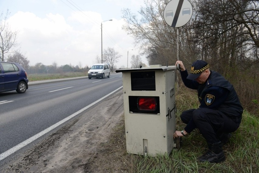 W czwartek strażnicy miejscy z fotoradarem pracowali między...