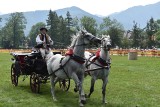 Zakopane. Góralskie zaprzęgi stanęły w szranki w ramach Mistrzostw Podhala w powożeniu 