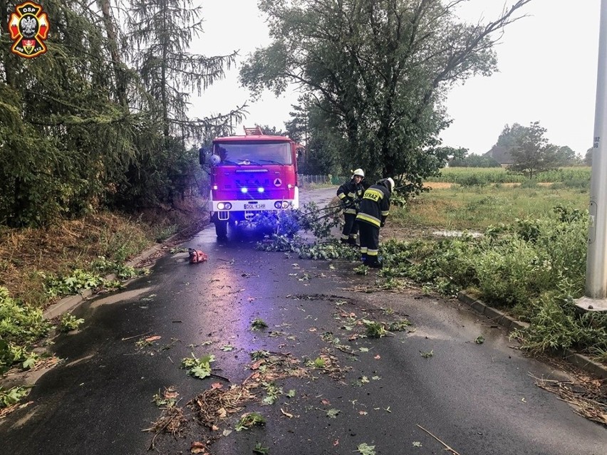 Zalane ulice i połamane drzewa. Burze przeszły przez Dolny Śląsk