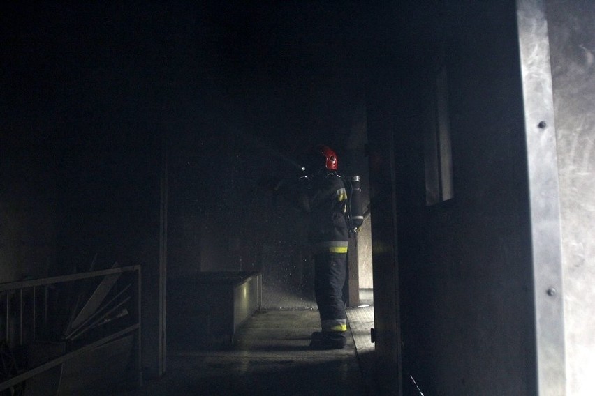 Wrocław: Strażacy trenowali w specjalnej komorze (ZDJĘCIA)