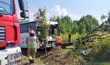 W Żarkach, na ulicy Kościuszki, w ciągu drogi wojewódzkiej 780, autobus uderzył w drzewo. W akcji śmigłowiec LPR