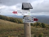 Wybieracie się w Bieszczady? Uważajcie na szlakach. Bieszczadzki Park Narodowy zamknął dwie ścieżki turystyczne