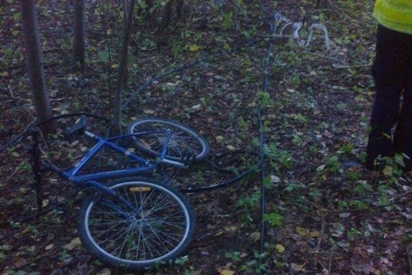 Policjanci z Niemodlina w zagajniku znaleźli skradziony kabel, piłkę do cięcia metalu oraz rower.