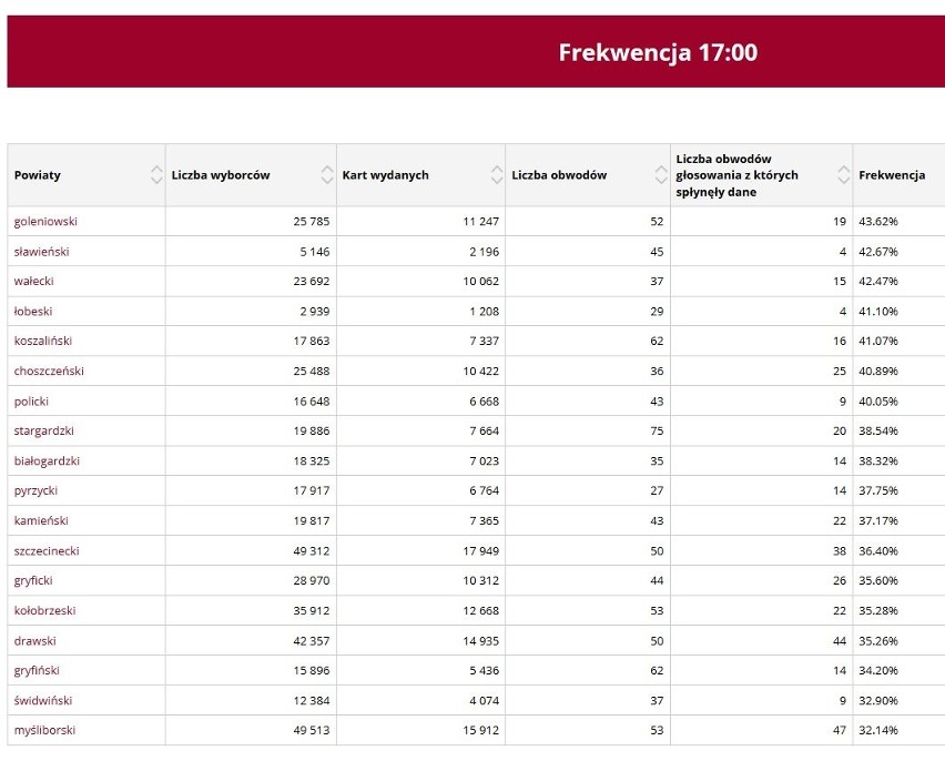 Wybory w Szczecinie: Czekamy na wyniki! A jak jest frekwencja?