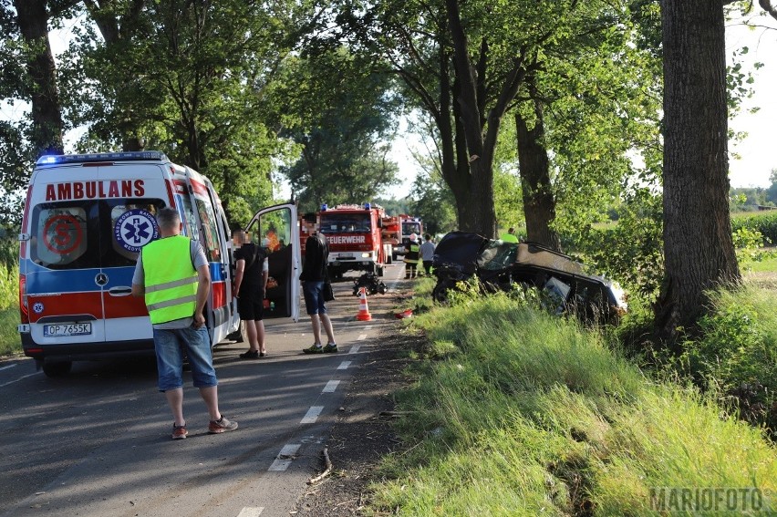 Wypadek w Wawelnie pod Opolem. Samochód wjechał do rowu