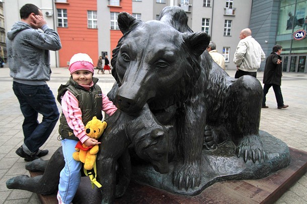 Niedźwiedzica zamieszkała w Parku Kazimierza Wielkiego