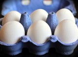 Pałeczki salmonelli w jajkach z Biedronki. Sprawdź w jakiej partii