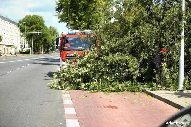 Drzewo runęło na przystanek, uszkodziło tablice i słup