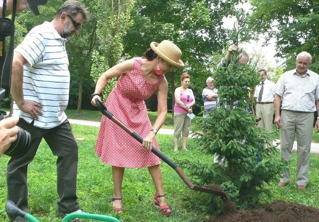 Słynna śpiewaczka Grażyna Brodzińska zasadziła w sobotę swoje drzewo w buskiej Alei Drzew Wielkich.