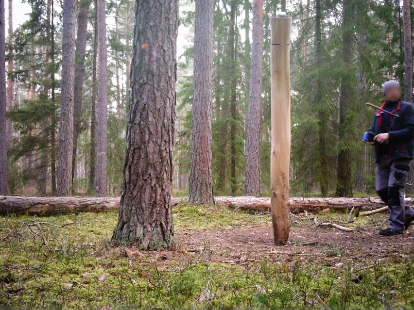 Mazurki. Podejrzany o kradzież fotopułapki z lasu zatrzymany (zdjęcia)