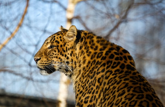 W krakowskim zoo już prawie wiosna