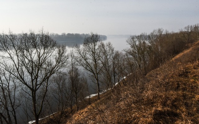 Tu mniej więcej miałaby stanąć wieża widokowa - pierwsza w Bydgoszczy