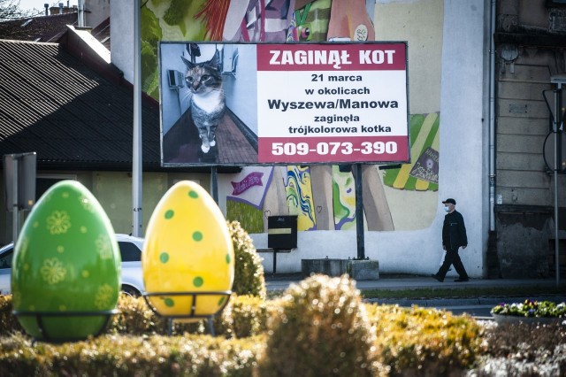 Właściciele Maliny rozwiesili mnóstwo plakatów, zamieścili nawet ogłoszenie na billboardzie.