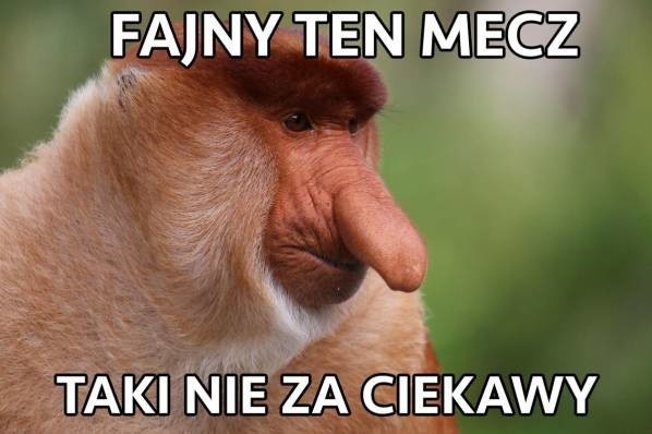 Polska Irlandia NAJLEPSZE MEMY