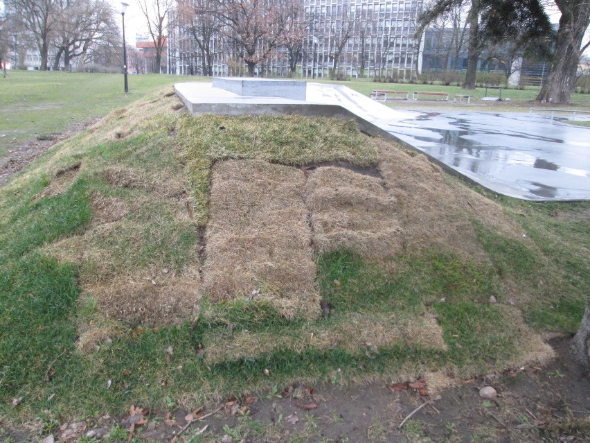 Skatepark w parku Marcinkowskiego: Trawa zaczęła się zwijać