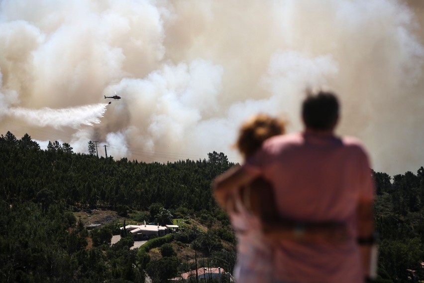Pożary w okolicach Monchique (Alentejo/Portugalia)
