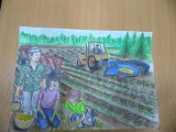 Konkurs „Bezpiecznie na wsi: maszyna pracuje, a dziecko obserwuje” rozstrzygnięty. Zobaczcie prace uczestników 