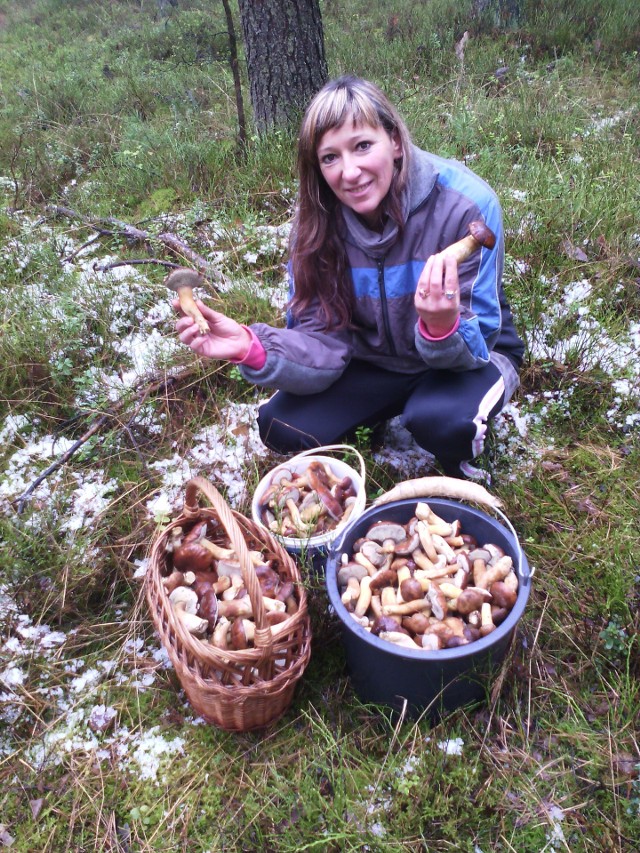 Violetta Szwarc w kilka godzin zebrała tyle grzybów, że wystarczy do wigilijnych potraw dla jej rodziny i dla koleżanki.