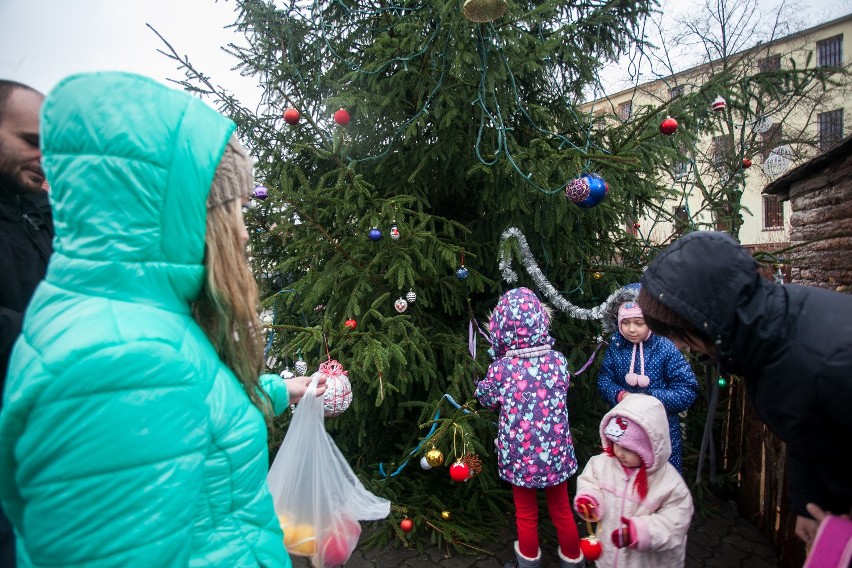 Mieszkańcy stroili choinkę w Starym Fordonie