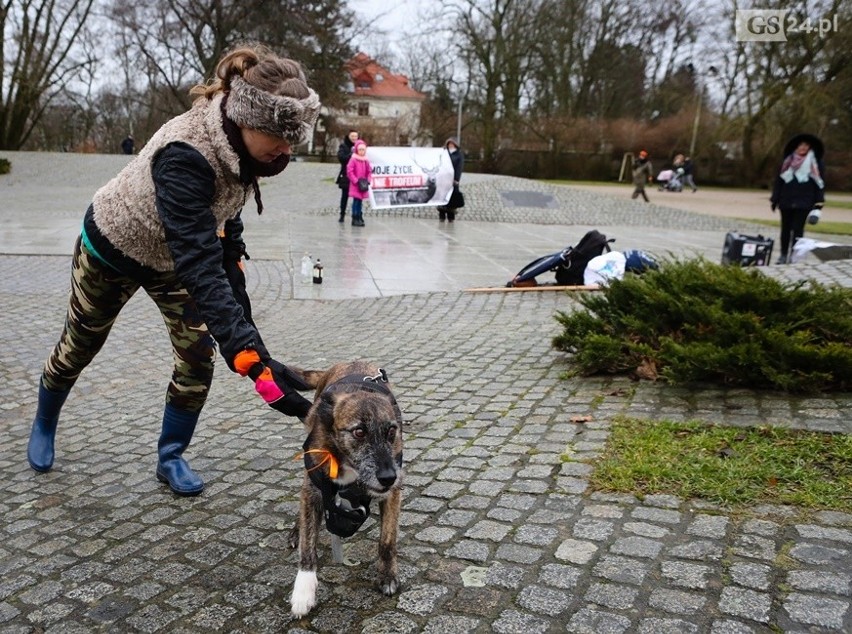 BASTA! protestuje w Szczecinie. Zorganizowali symboliczne polowanie w Parku Kasprowicza
