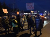 Gorąco wokół budowy obwodnicy Brzezin i Radkowic. Lada dzień ważna decyzja! Protesty będą 4 razy w tygodniu!