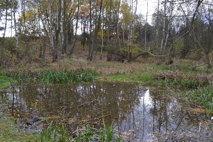 Rybnik dusi się w smogu, ale o Okrzeszyniec nie dba