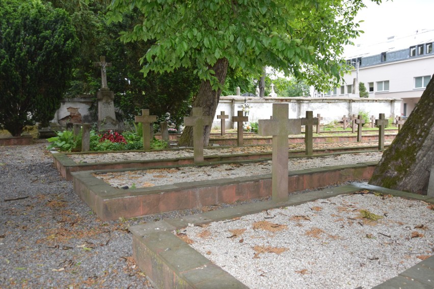 Będzie drugi etap remontu mogił na cmentarzu wojennym przy ulicy Mickiewicza w Sandomierzu. Odnowione zostaną wszystkie nagrobki 