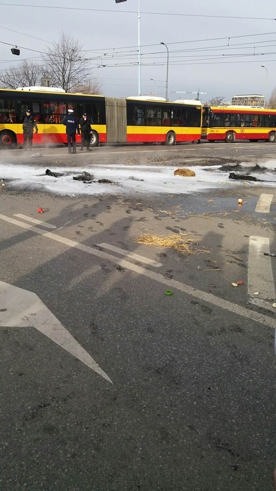 Rolnicy protestowali w Warszawie, była grupa ze Świętokrzyskiego. Płonęły opony i słoma, rozsypane jabłka 