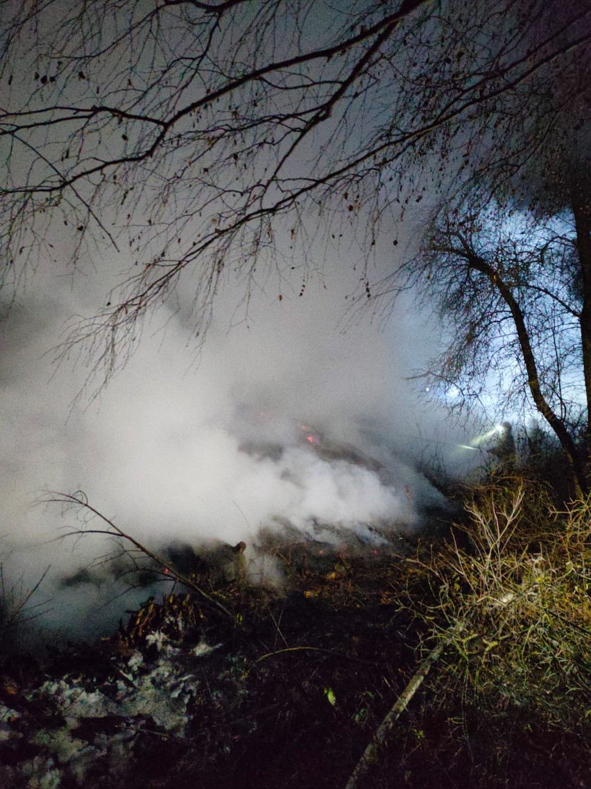 Pożar pryzmy drewna w zakładzie w Połańcu. W akcji kilkudziesięcu strażaków