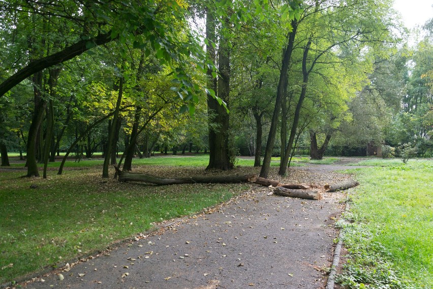 Park Zamkowy przejdzie zmianę