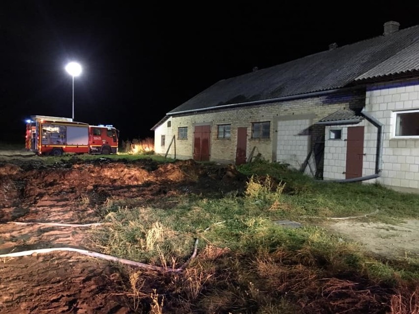 Wdziękoń Pierwszy: Kolejny pożar na terenie gospodarstwa. Paliła się sterta obornika [ZDJĘCIA]