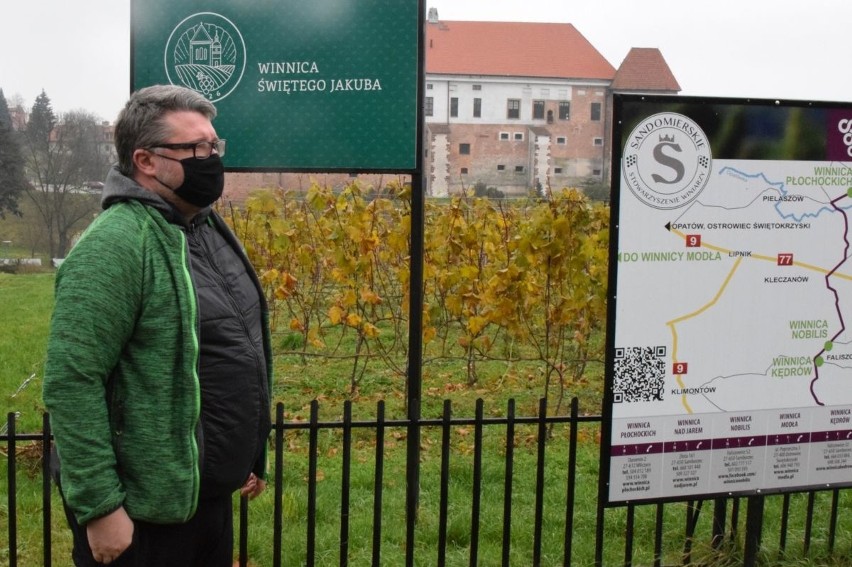 Święto Młodego Wina w Sandomierzu. Zobacz co się działo w winnicach [WIDEO, ZDJĘCIA]