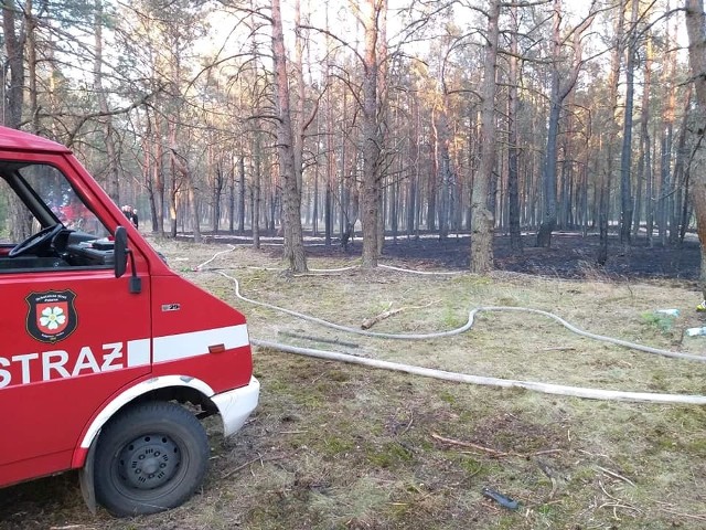 Podczas jednej z akcji