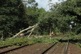 Wichura powaliła drzewa na torowisko i wstrzymała ruch pociągów (zdjęcia, wideo)