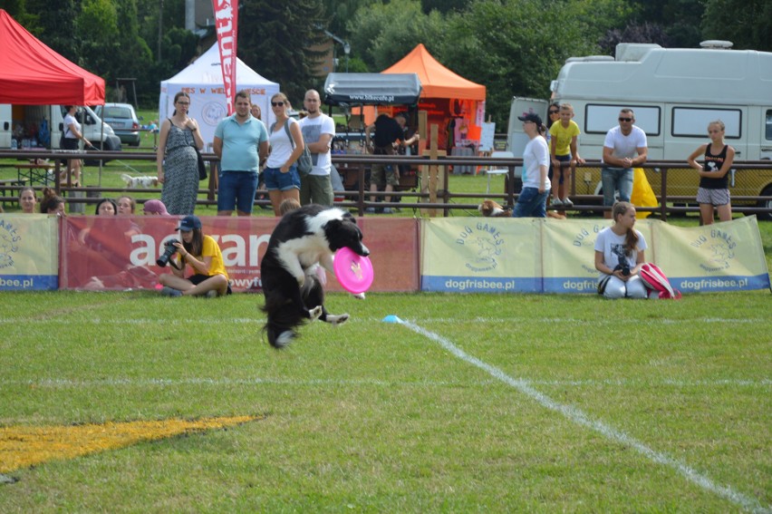 "Latające psy" 2018 w gdyńskim Parku Kolibki, czyli emocjonujące zawody w dogfrisbee