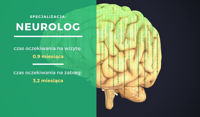 Ile trzeba czekać na wizytę u specjalisty? Dane są zatrważające! Sprawdźcie, ile czasu spędzicie w kolejce 