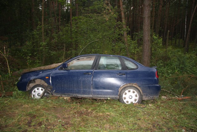 To tym seatem jechał kierowca bez prawa jazdy