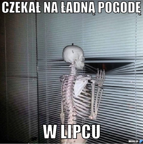 Lipcopad - "ulubiony" miesiąc Polaków [MEMY]     